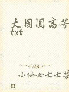 大团圆高芳小说txt