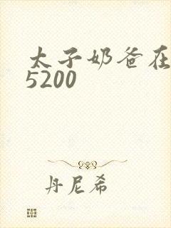 太子奶爸在花都5200封面