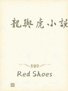 龙与虎小说