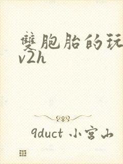 双胞胎的玩具1v2h