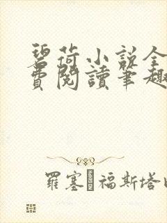 碧荷小说全文免费阅读笔趣阁封面