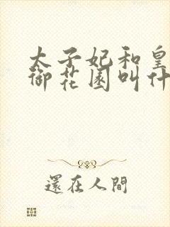 太子妃和皇帝在御花园叫什么小说