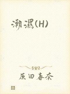 潮湿(H)