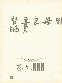 贤妻良母 鹦鹉晒月封面