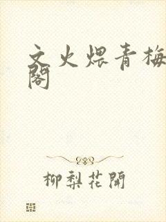 文火煨青梅笔趣阁封面