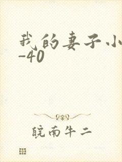 我的妻子小谨1-40封面