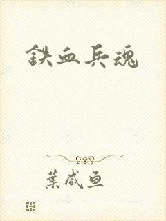 铁血兵魂封面
