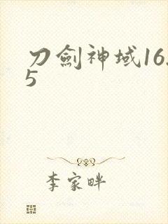 刀剑神域16.5