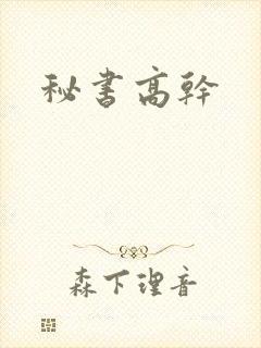 秘书高干封面