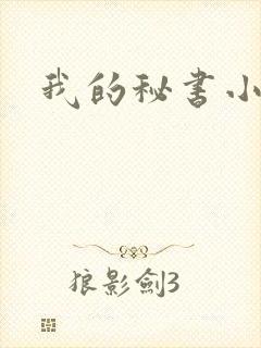 我的秘书小姐封面