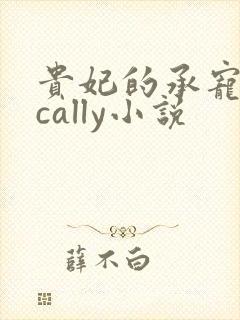 贵妃的承宠日常cally小说