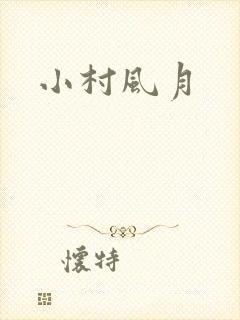 小村风月封面