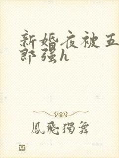 新婚夜被五个伴郎强h封面