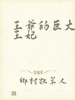 王爷的巨大进入王妃封面