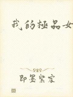 我的极品女老师封面