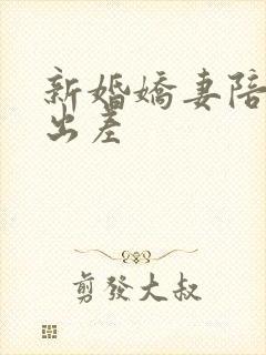 新婚娇妻陪局长出差封面
