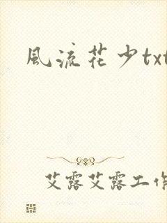 风流花少txt