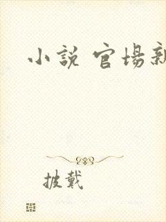 小说 官场新贵