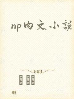 np肉文小说