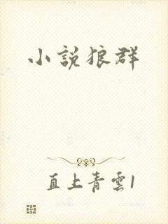 小说狼群