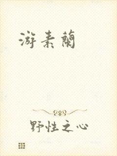 游素兰封面