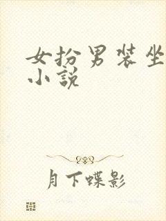 女扮男装坐江山小说