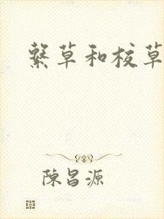 系草和校草封面
