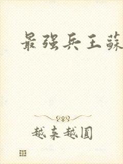最强兵王苏锐封面