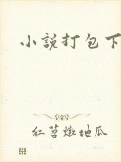 小说打包下载
