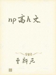 np高h文封面