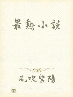 最热小说