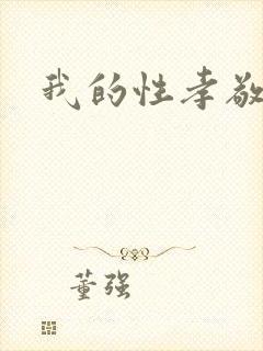 我的性孝敬封面