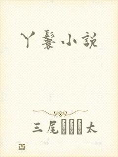 丫鬟小说