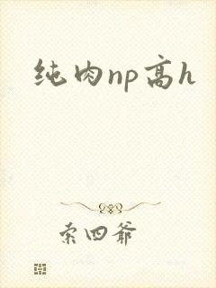 纯肉np高h