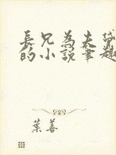 长兄为夫黛珂妃的小说笔趣阁全文
