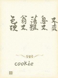 色翁荡息又大又硬又粗又爽小莹