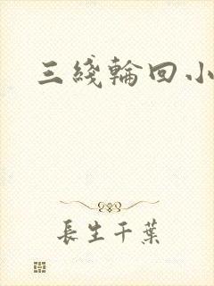 三线轮回小说