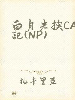 白月光挨CAO记(NP)
