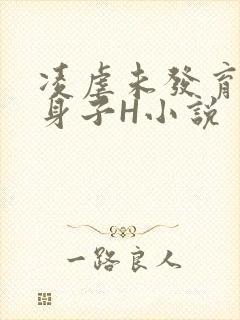 凌虐未发育的小身子H小说封面