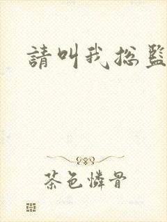请叫我总监小说