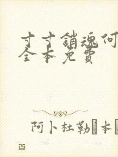 寸寸销魂何生祥全本免费
