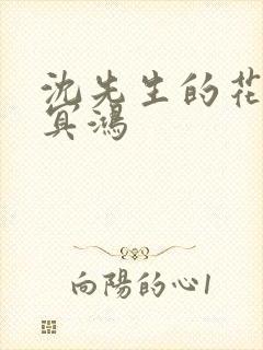 沈先生的花式调冥鸿