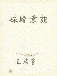 嫁给袁朗