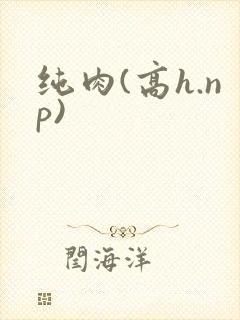 纯肉(高h.np)
