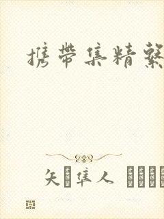携带集精系统