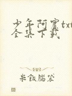 少年阿宾txt全集下载