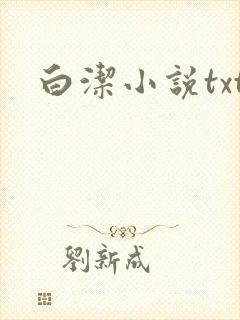 白洁小说txt封面