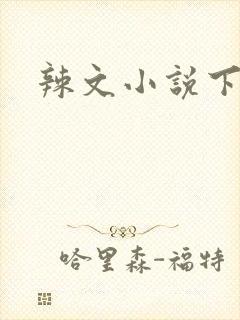 辣文小说下载