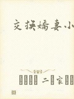 交换娇妻小说封面