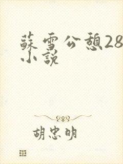 苏雪公憩28篇小说封面